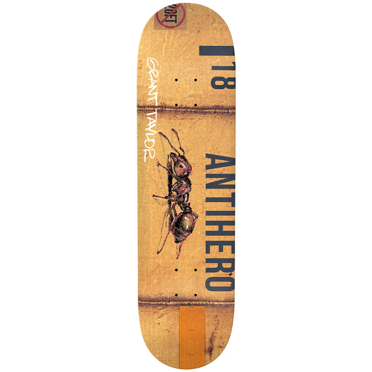 Anti Hero - Grant Taylor Intermodal 8.32 Skateboard Deck