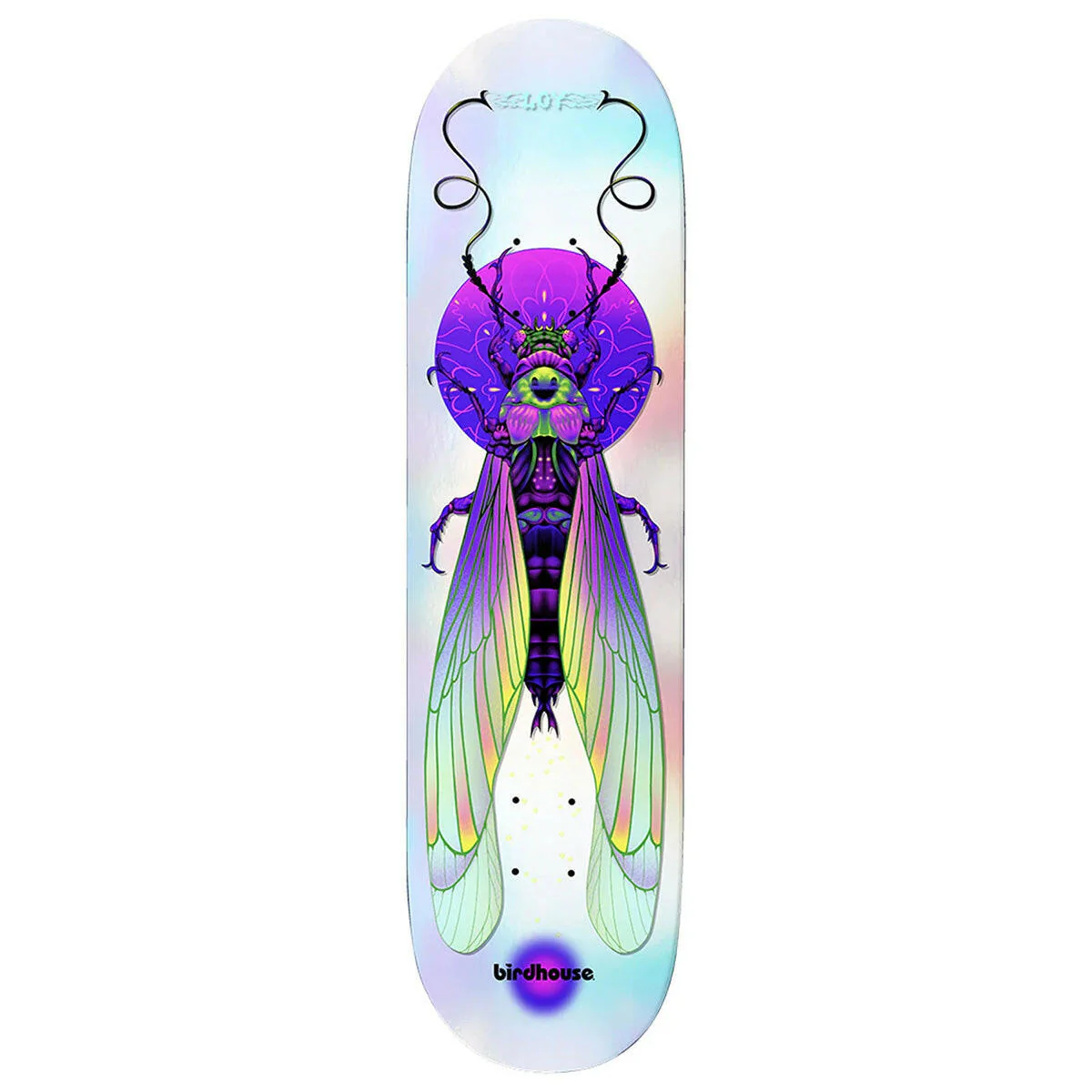 Birdhouse - David Loy Ilham Insects 8.5 Skateboard Deck