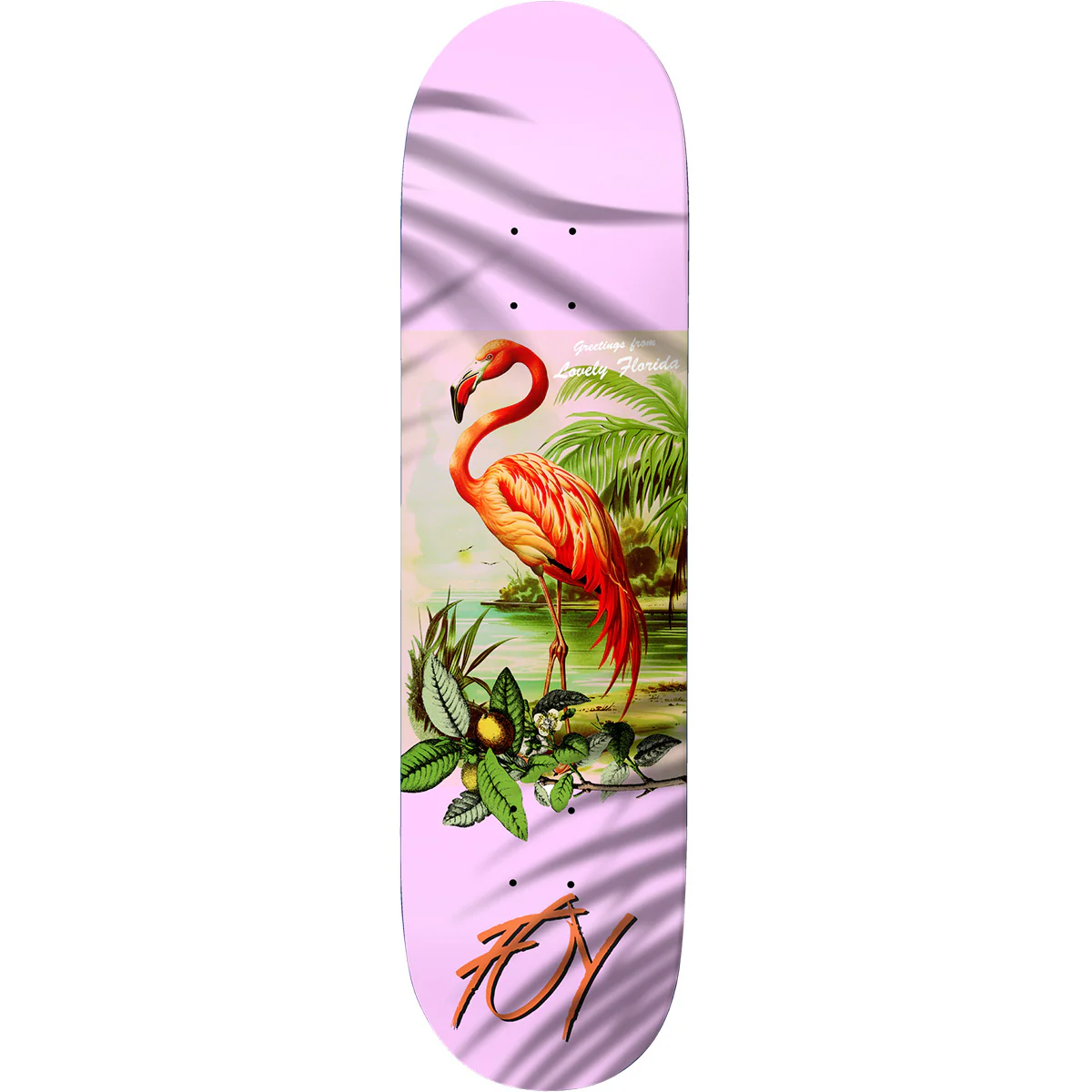 Deathwish - Jamie Foy Flamingo 8.0 Skateboard Deck