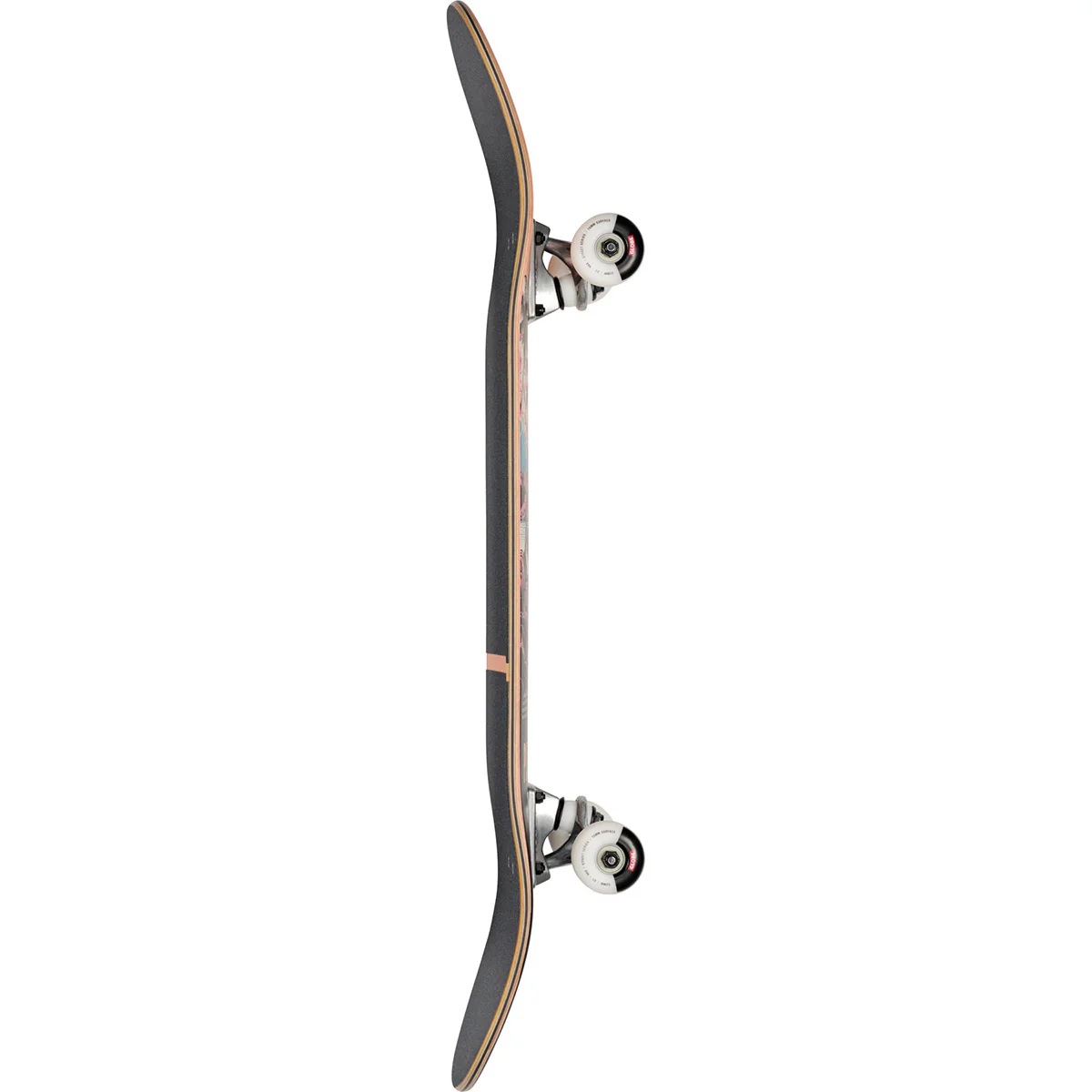 Globe - G1 Visitation Terra Bay 8.25 Complete Skateboard - Image 4
